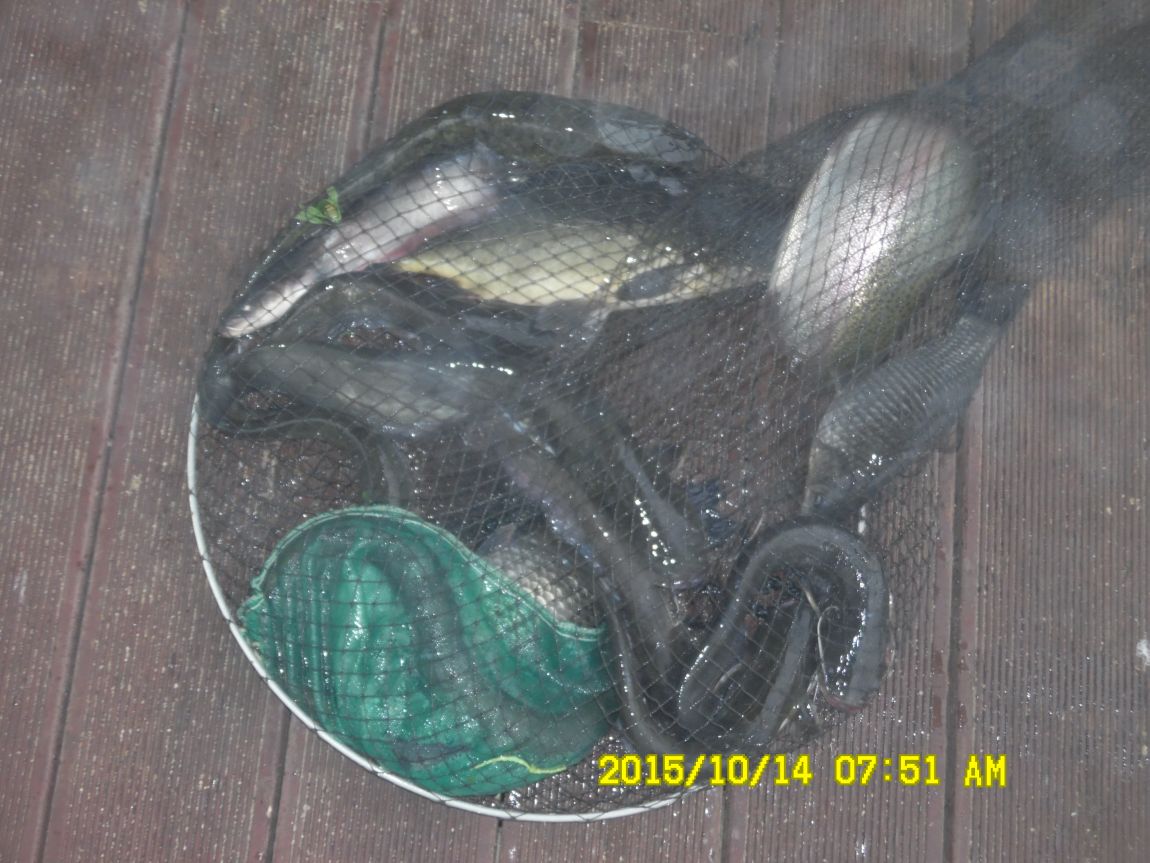 10¿ù11ÀÏ~14ÀÏ 063.JPG