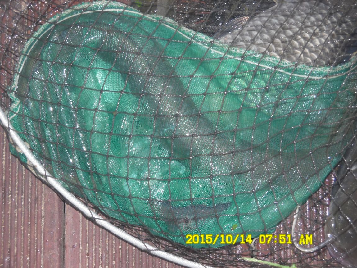 10¿ù11ÀÏ~14ÀÏ 064.JPG