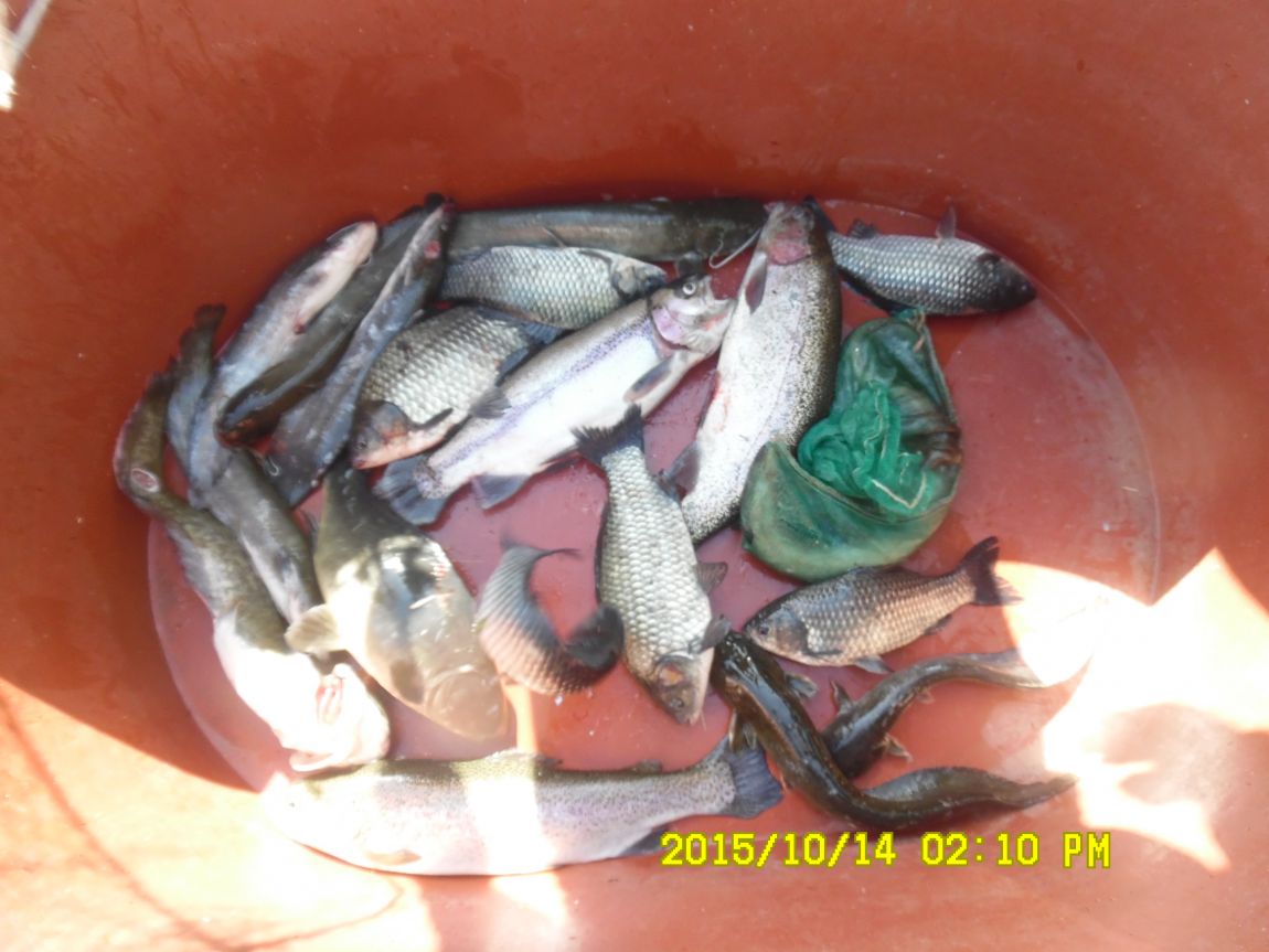 10¿ù11ÀÏ~14ÀÏ 067.JPG