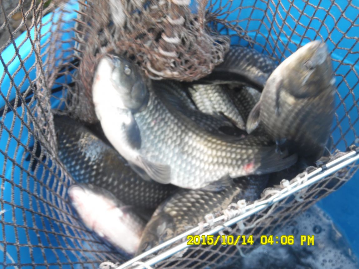 10¿ù11ÀÏ~14ÀÏ 070.JPG