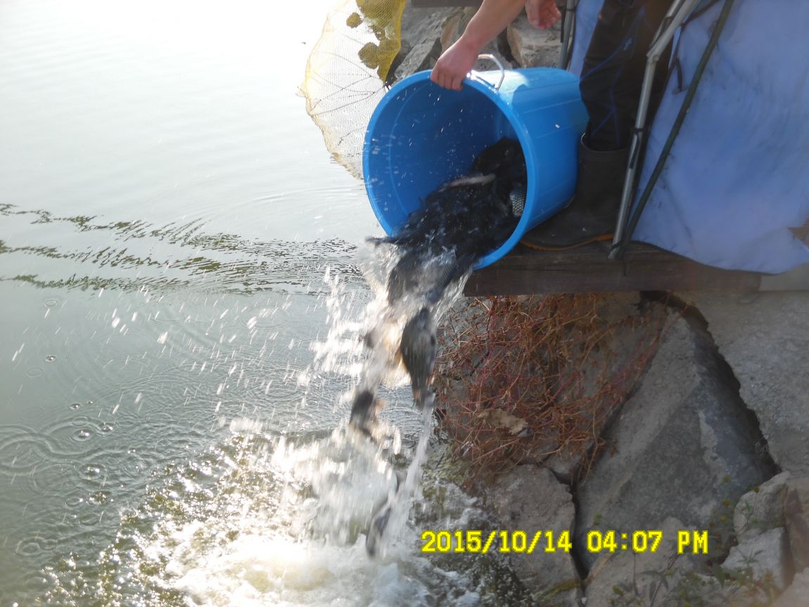 10¿ù11ÀÏ~14ÀÏ 071.JPG