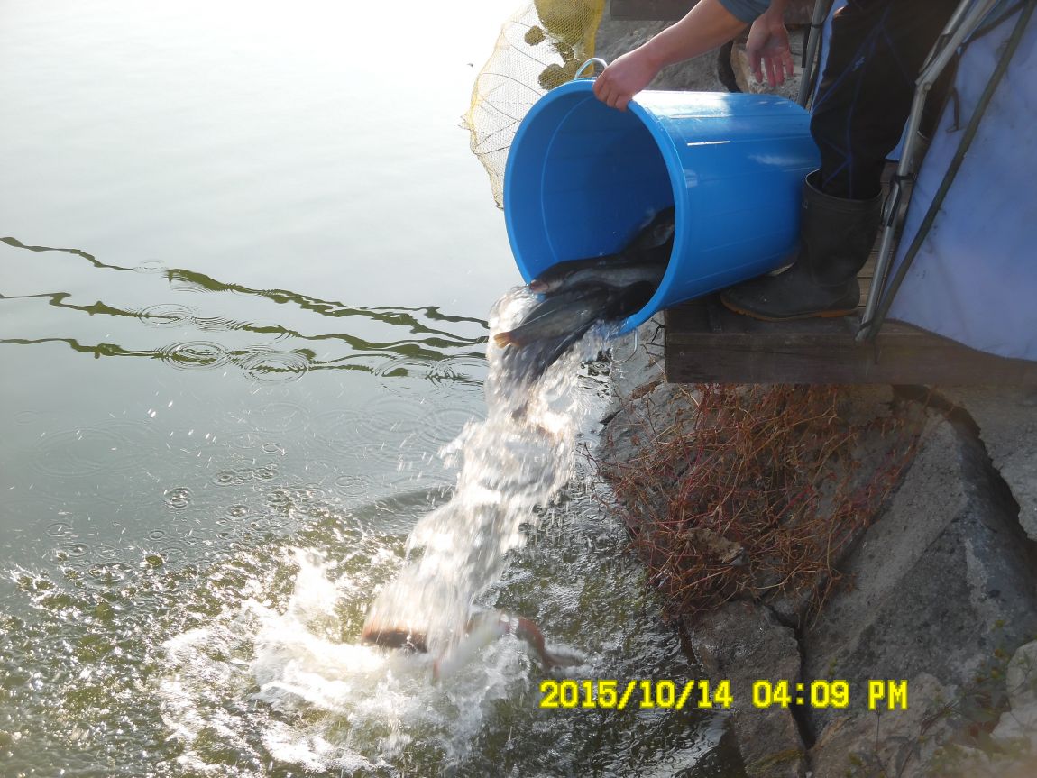 10¿ù11ÀÏ~14ÀÏ 072.JPG