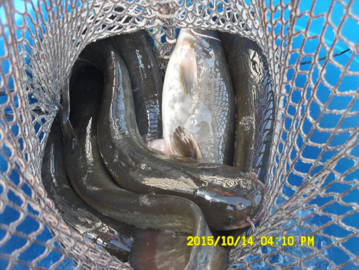 10¿ù11ÀÏ~14ÀÏ 073.JPG