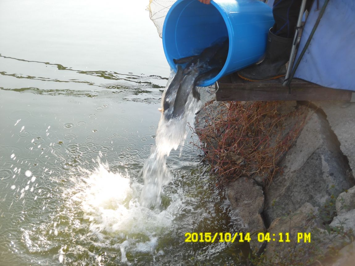 10¿ù11ÀÏ~14ÀÏ 074.JPG