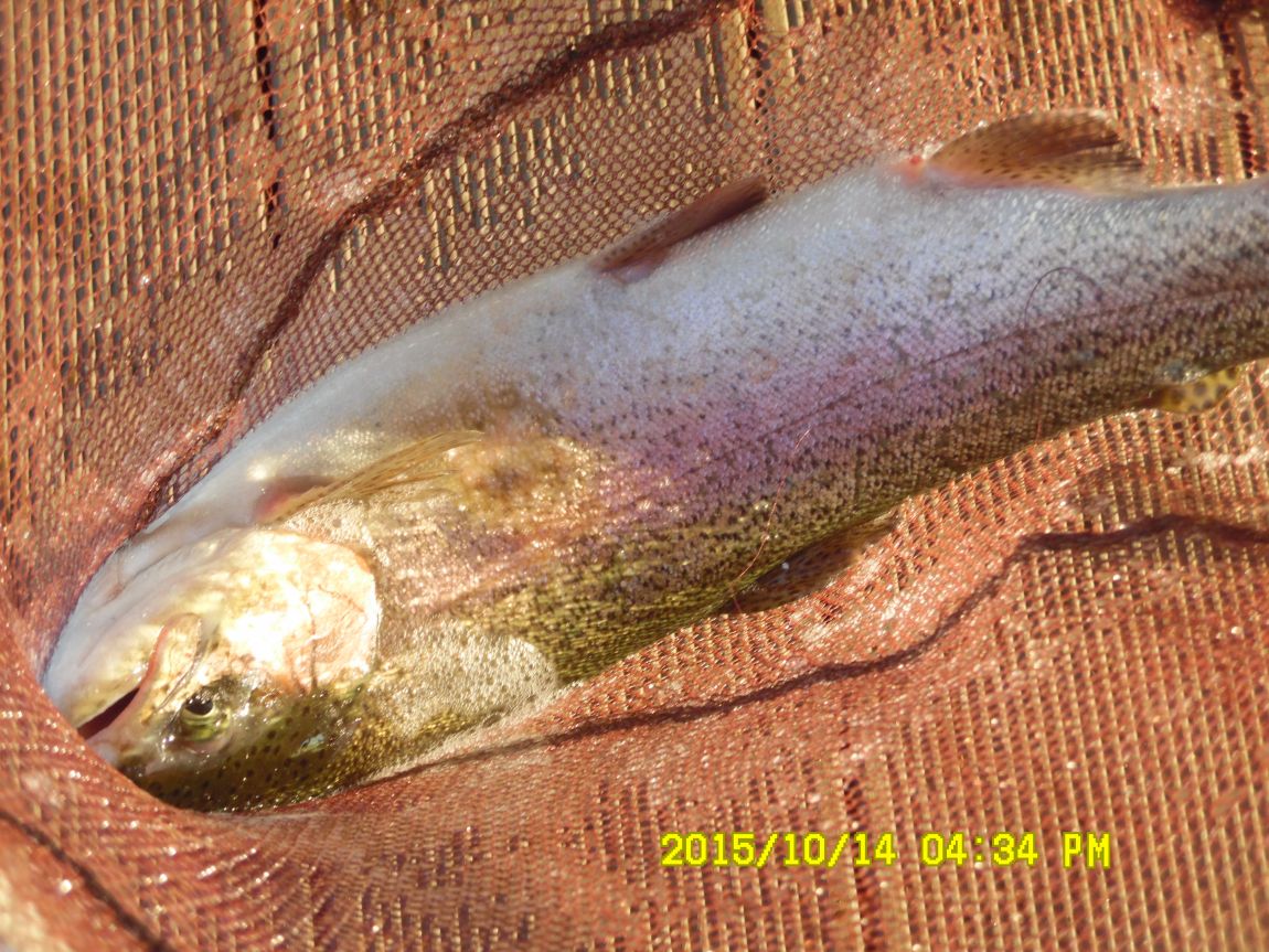 10¿ù11ÀÏ~14ÀÏ 076.JPG