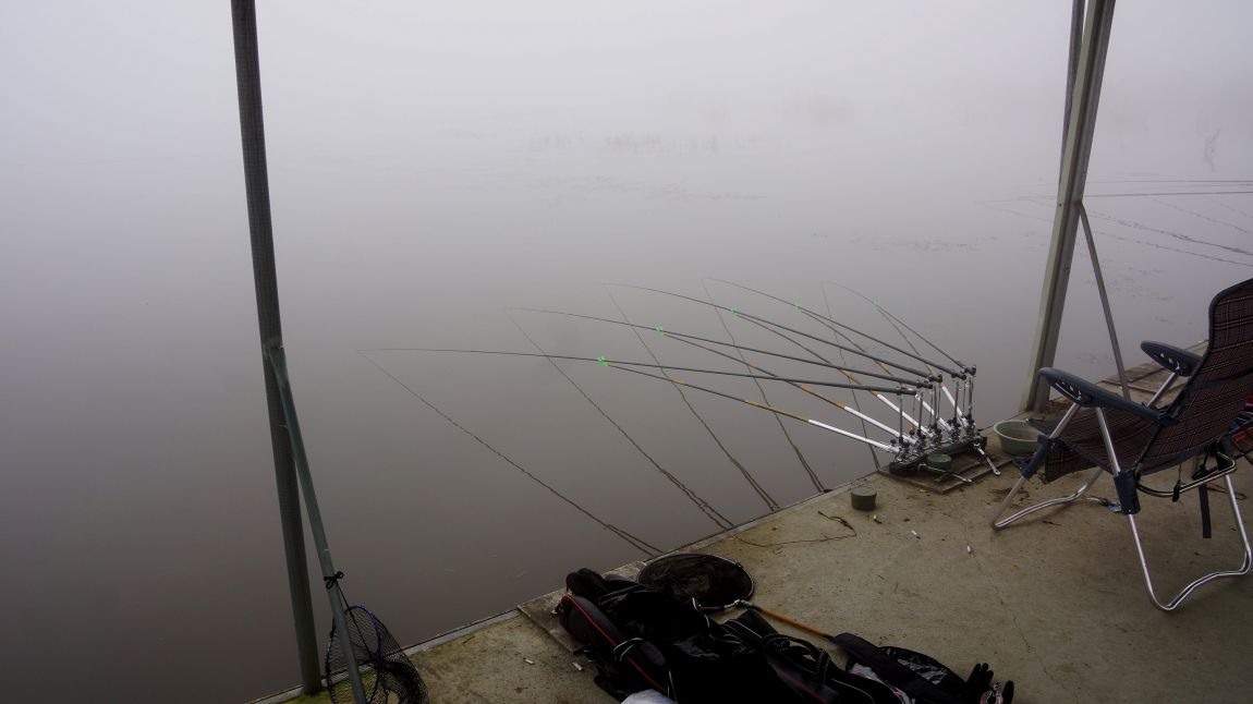 DSC01584-d.jpg