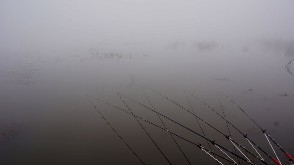 DSC01585-d.jpg