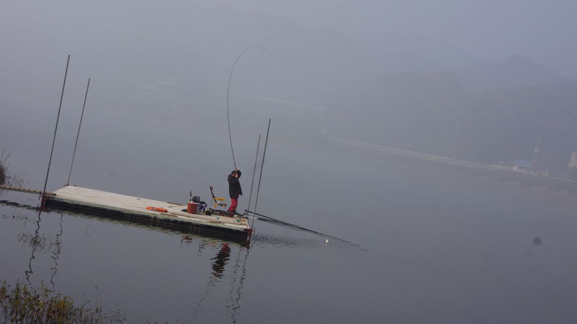 DSC01602-d.jpg