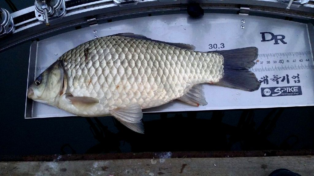 photo_1.jpg