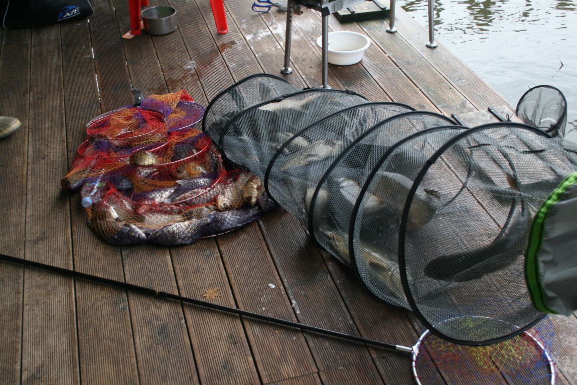 IMG_4001.JPG