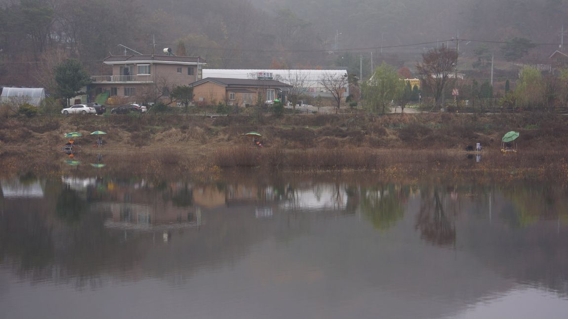 DSC01988-d.jpg