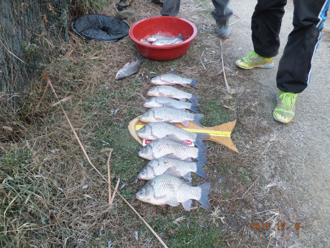 201300703 031.jpg