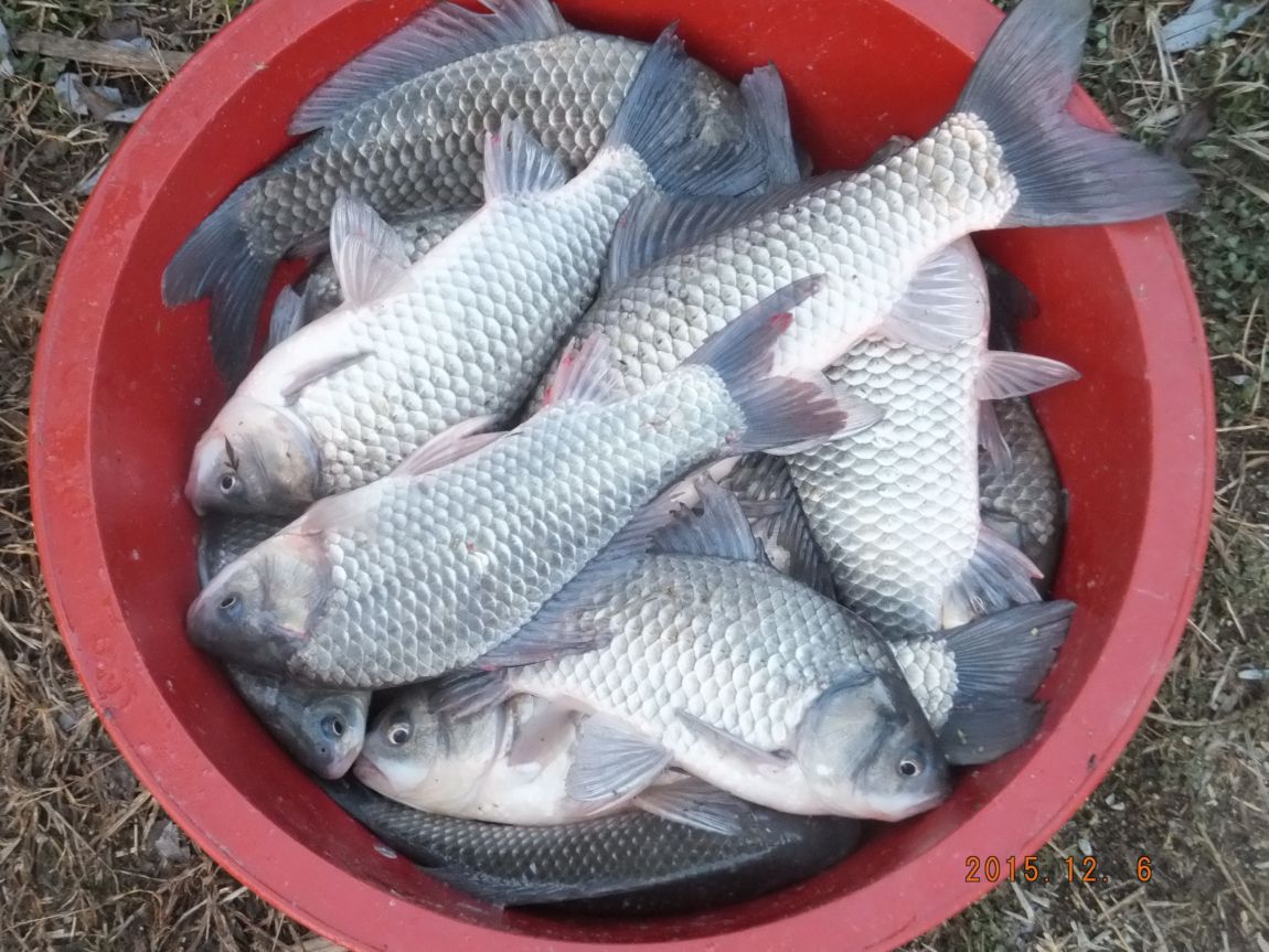 201300703 030.jpg