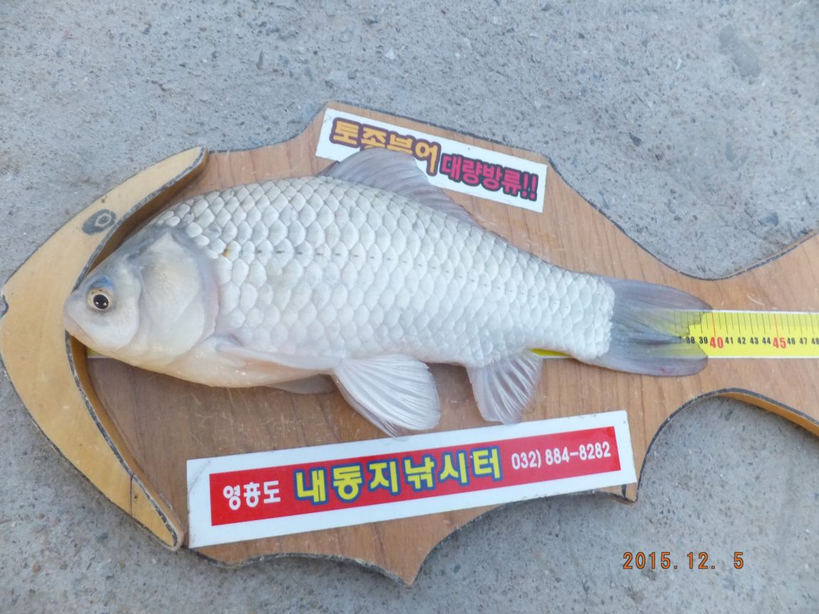 201300703 014.jpg