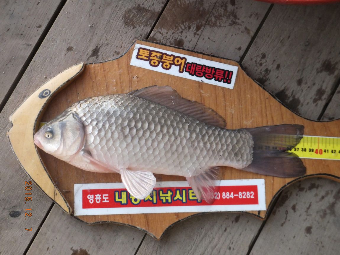 201300703 101.jpg