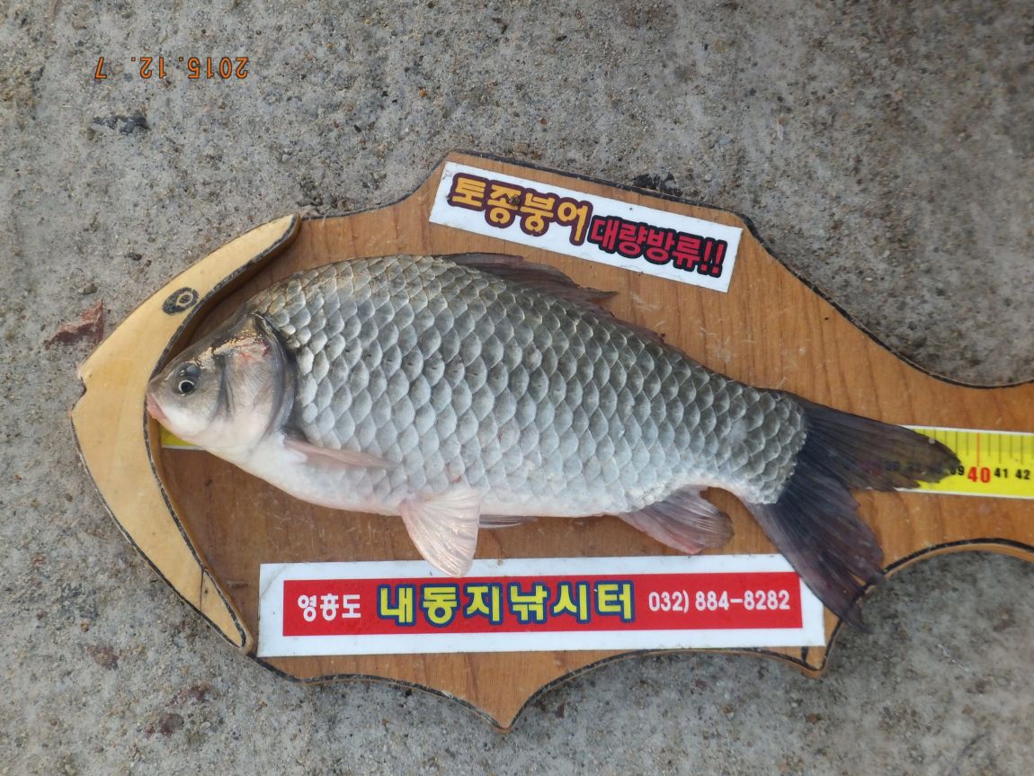 201300703 104.jpg
