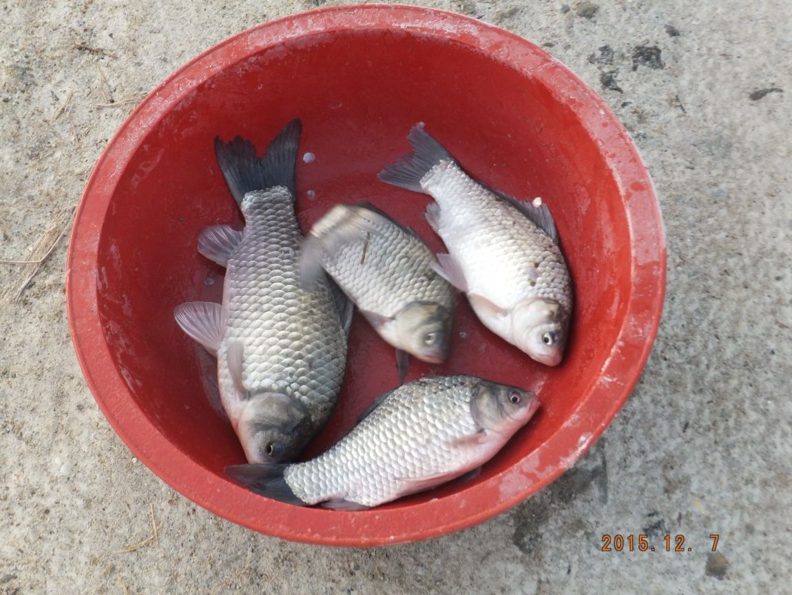 201300703 103.jpg