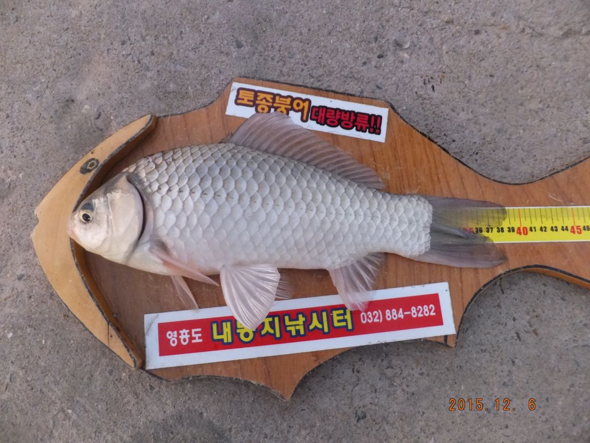 201300703 088.jpg