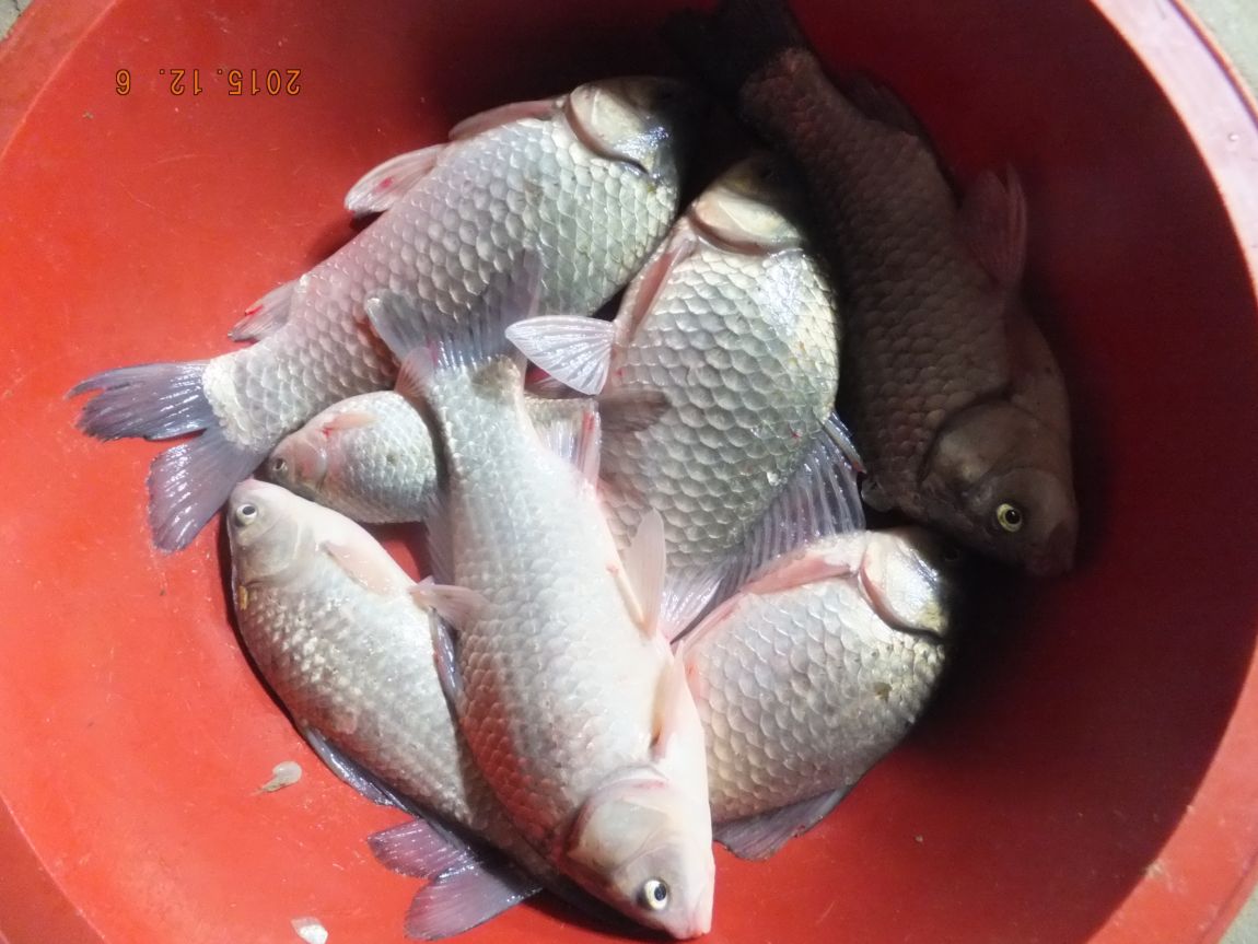 201300703 094.jpg