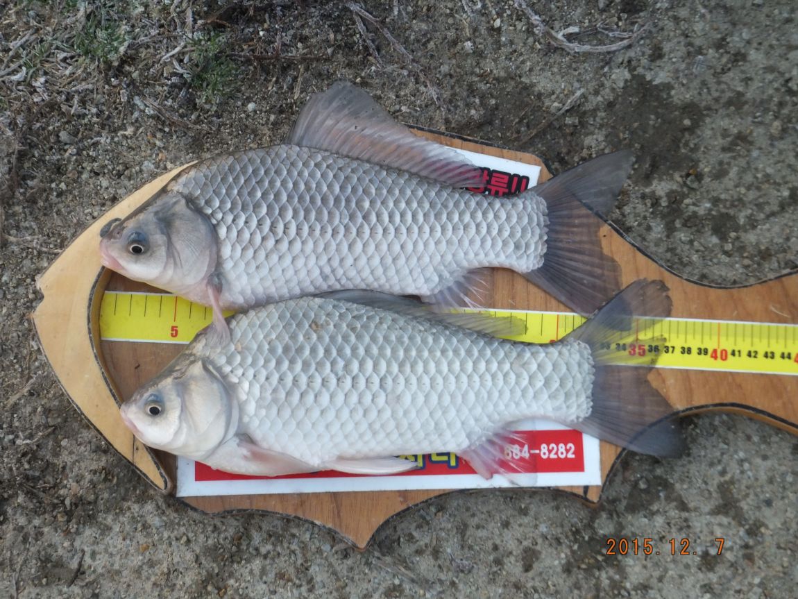 201300703 098.jpg