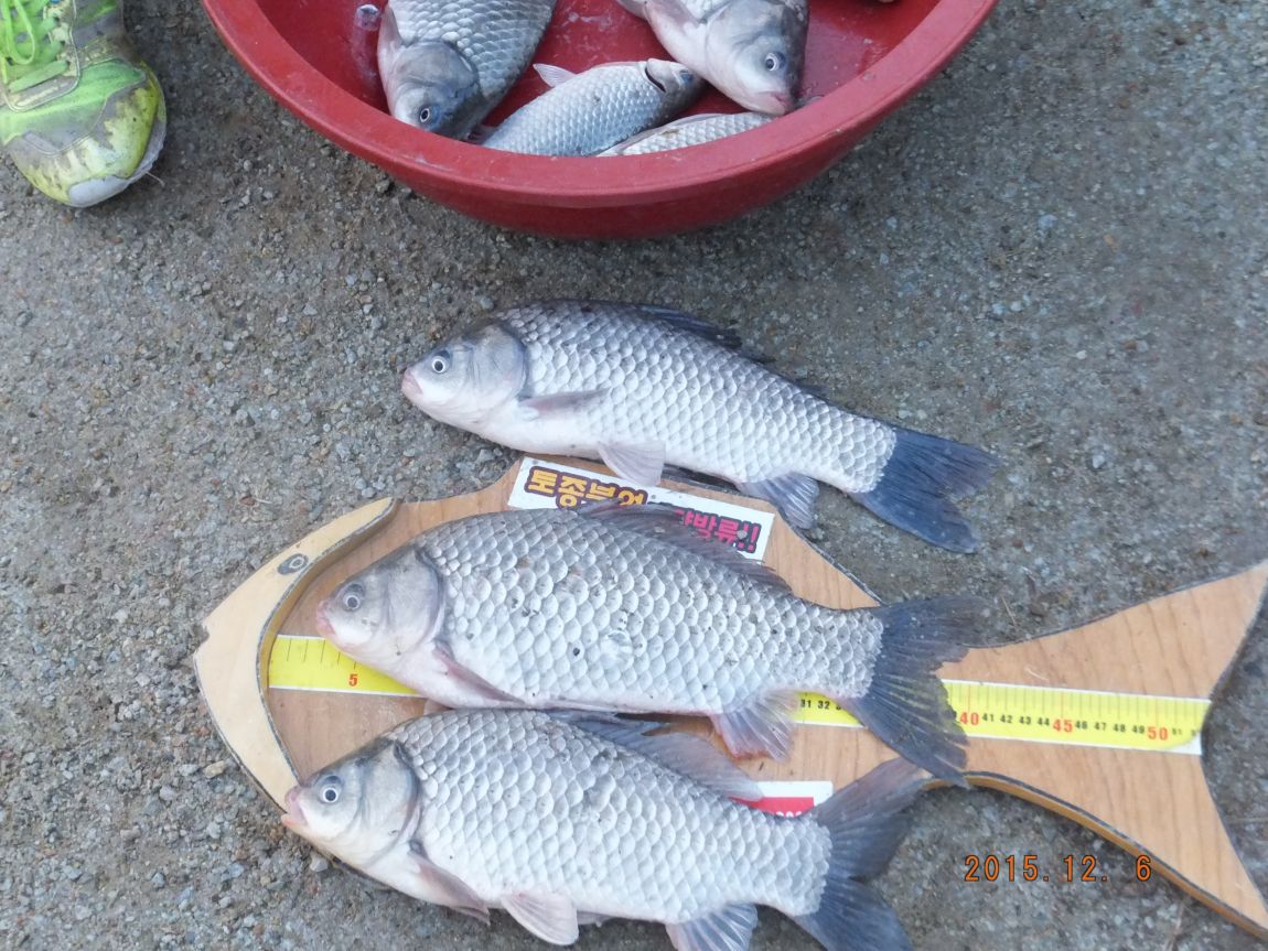 201300703 025.jpg