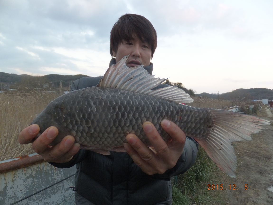 201300703 013.jpg