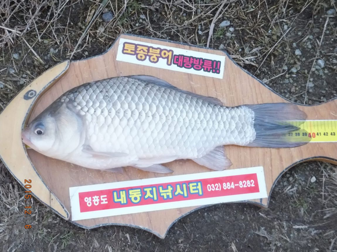 201300703 018.jpg