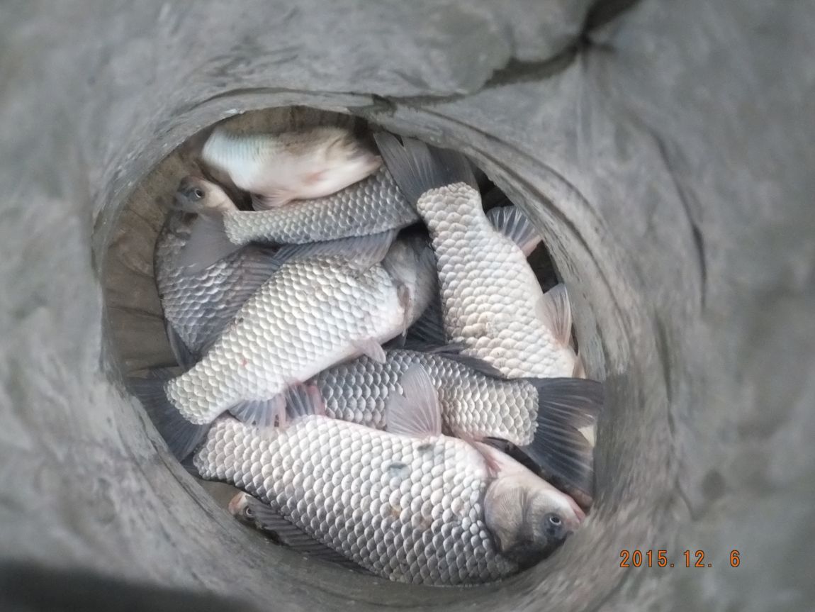 201300703 021.jpg