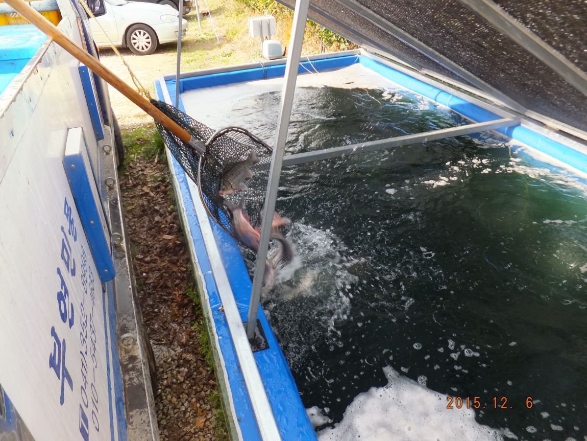 201300703 075.jpg