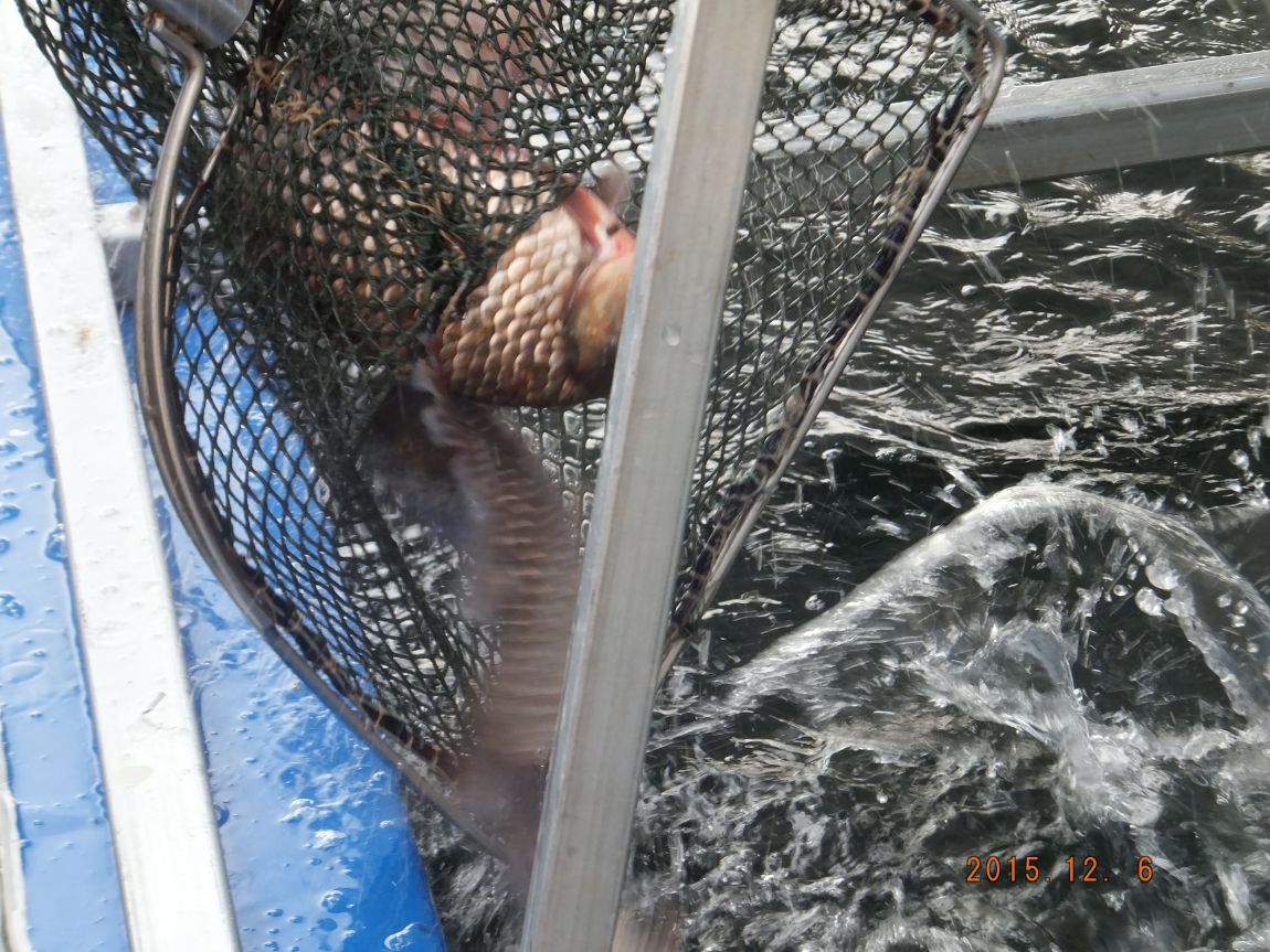 201300703 071.jpg