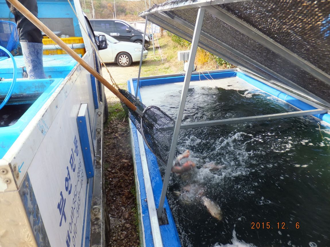 201300703 073.jpg