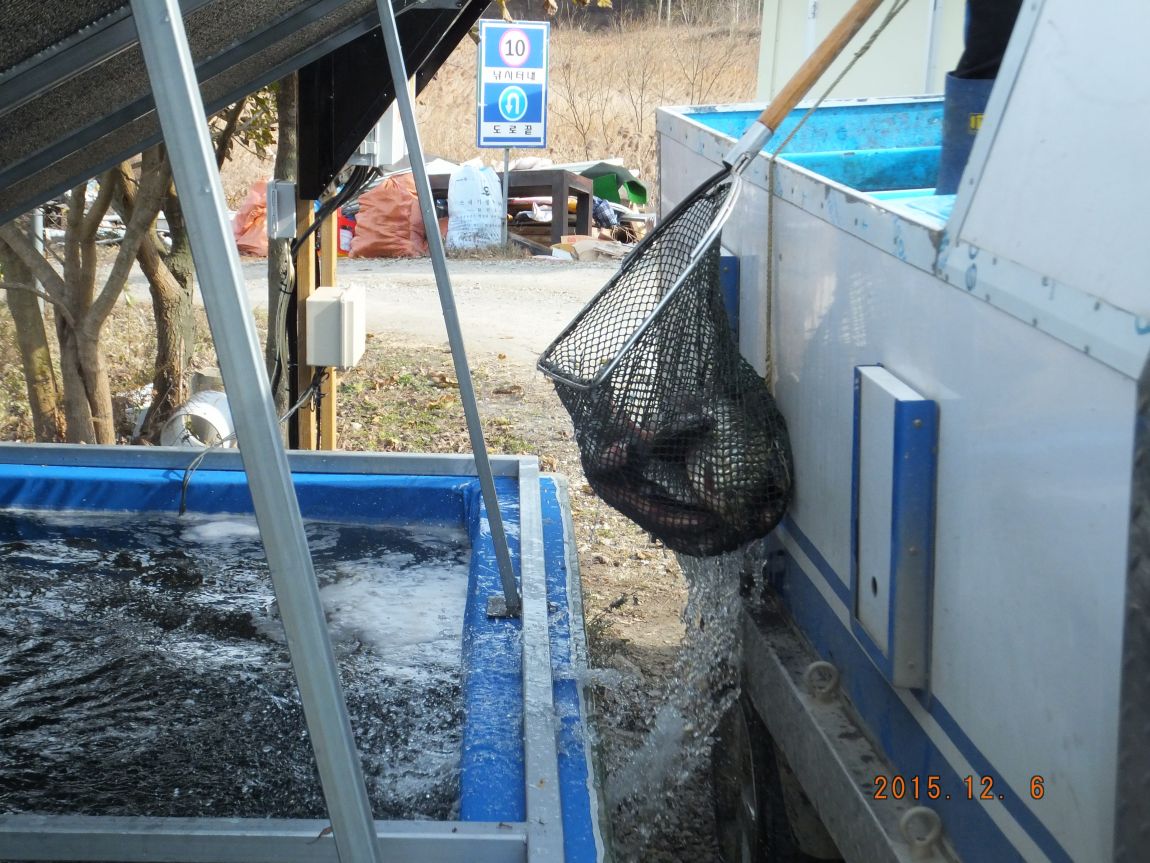 201300703 065.jpg