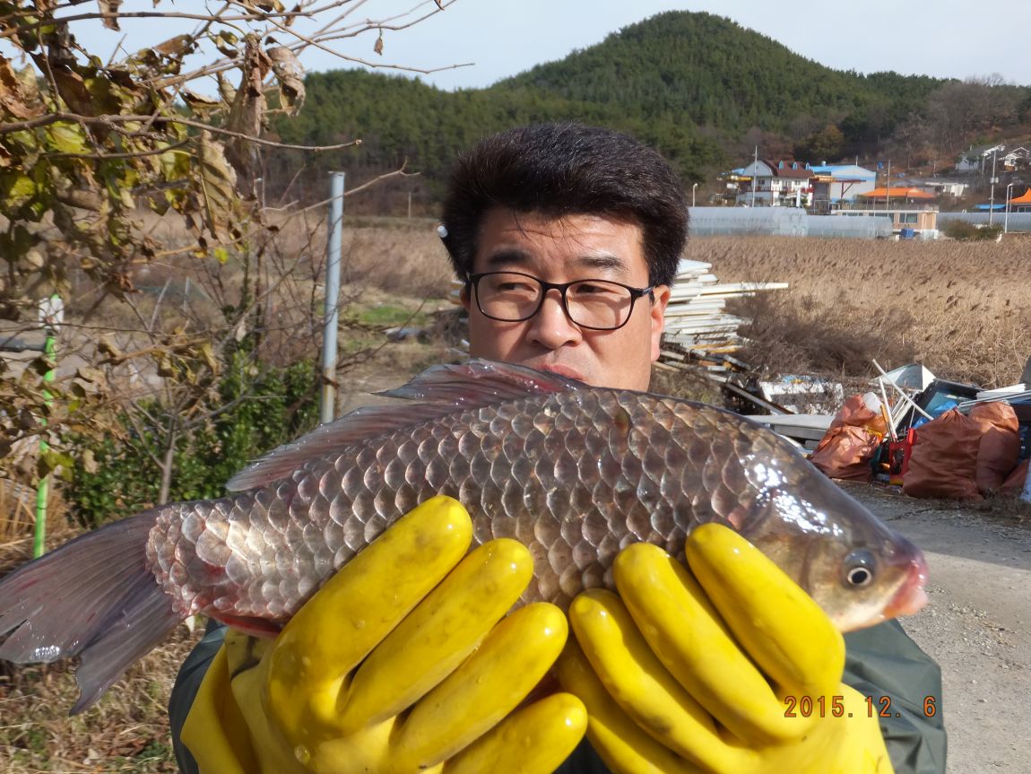 201300703 058.jpg