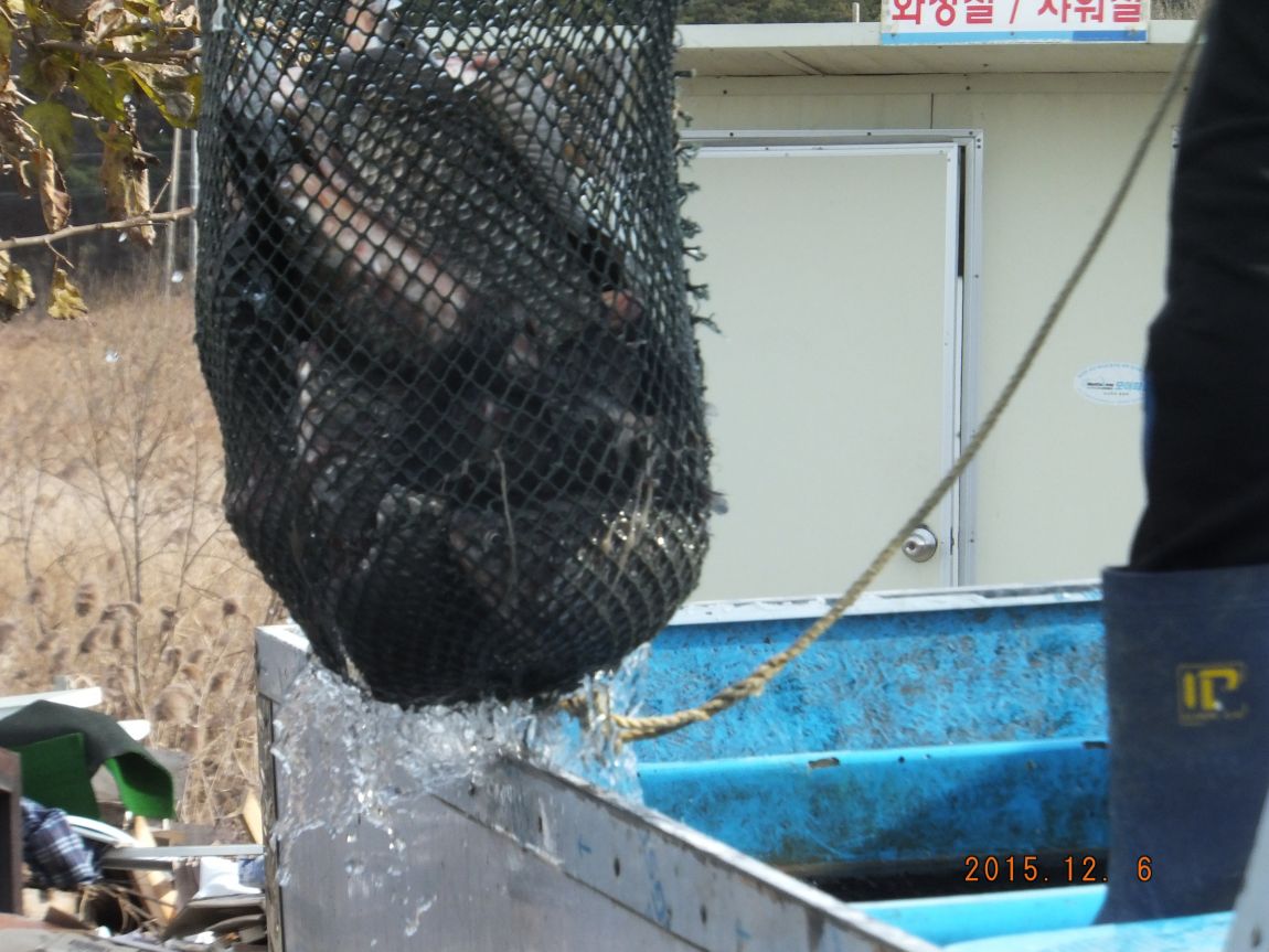 201300703 069.jpg