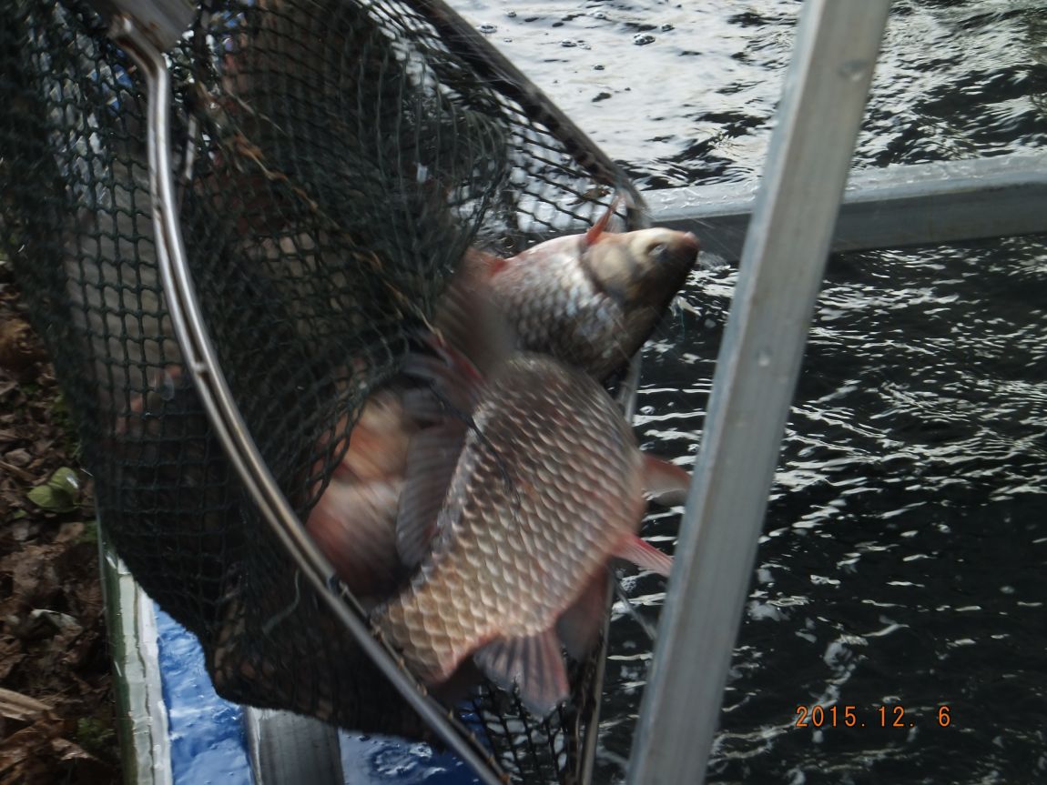 201300703 070.jpg