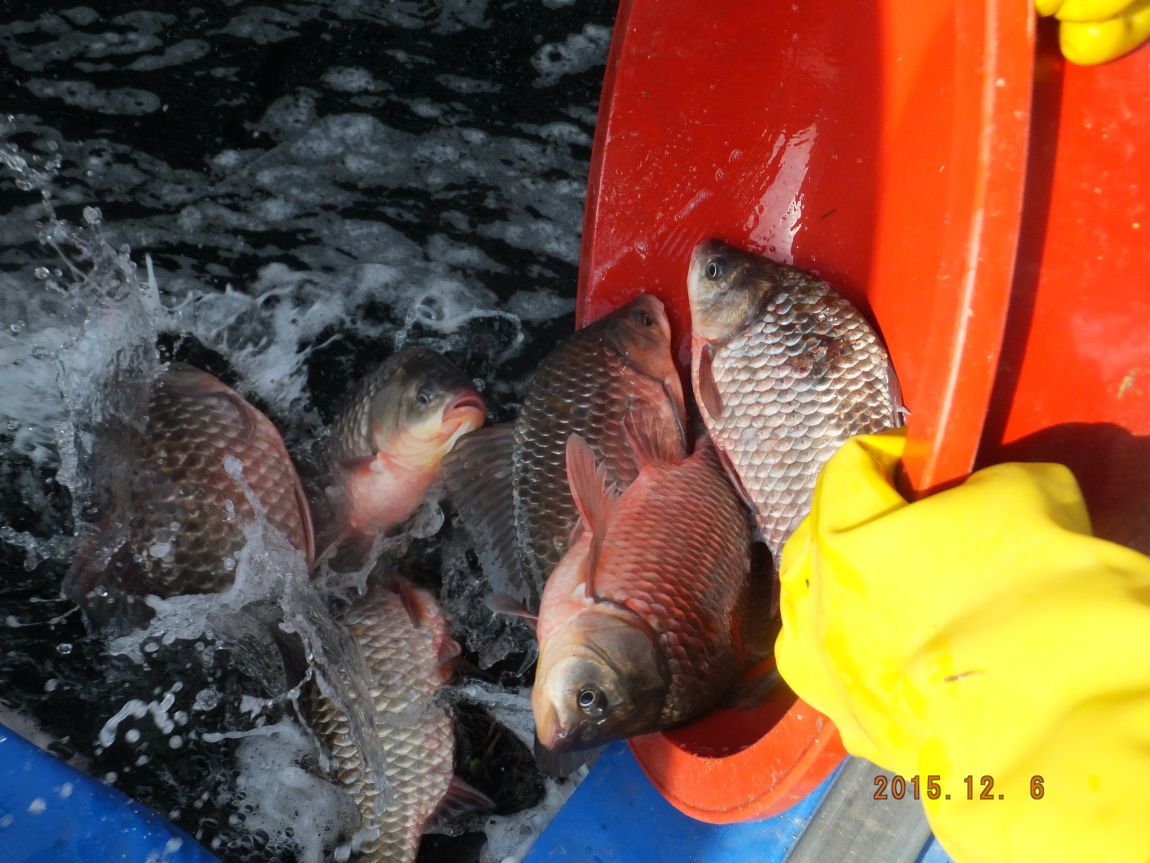 201300703 059.jpg