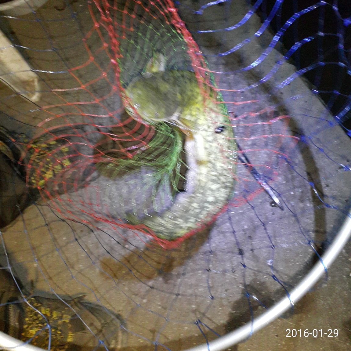 IMG_0746.jpg
