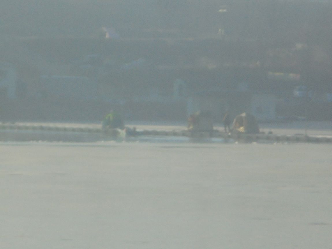 DSC01455.JPG