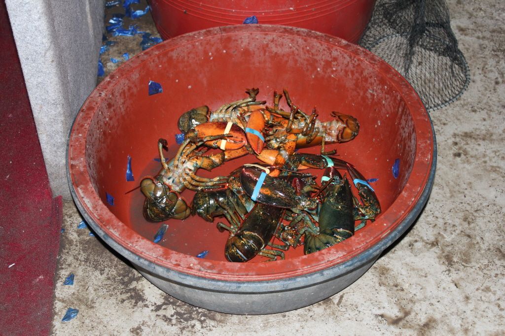 IMG_3257.JPG