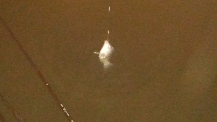 20160217_212522.jpg