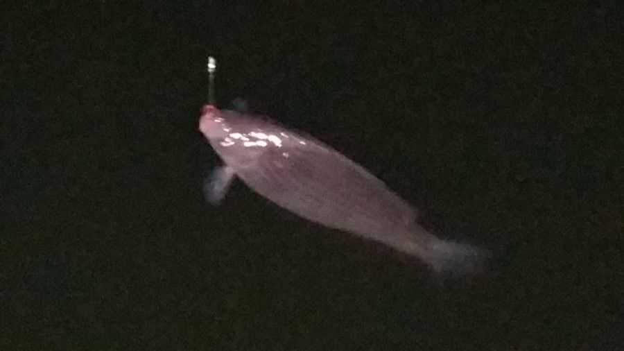 20160217_212536.jpg