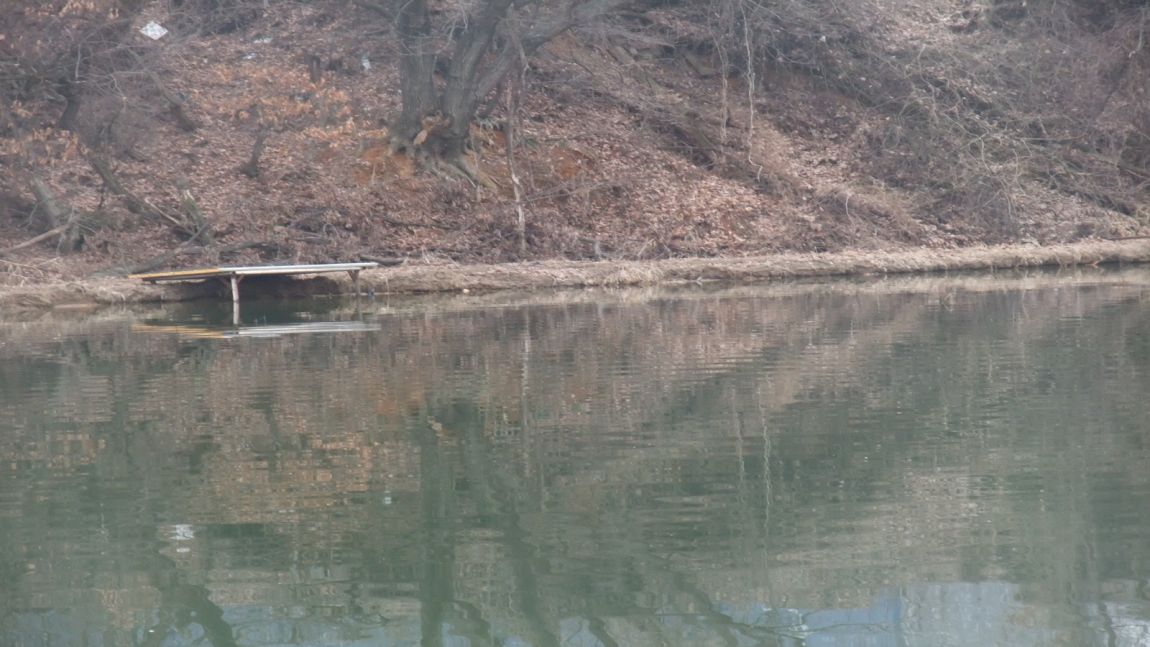 DSCF0268.JPG