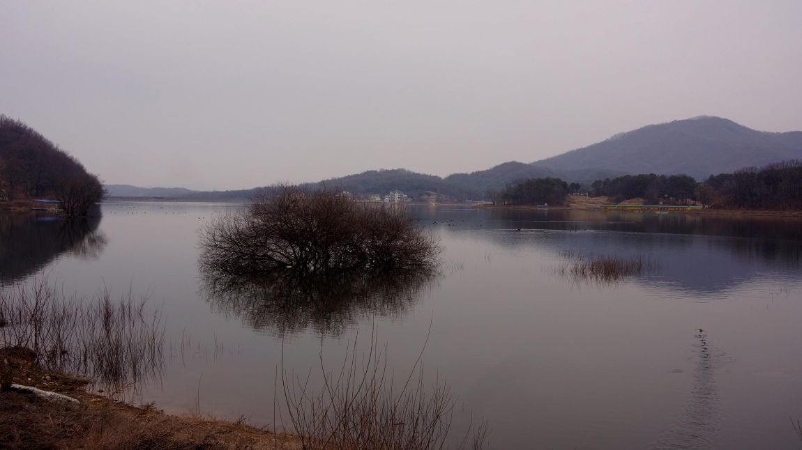 DSC02134.JPG