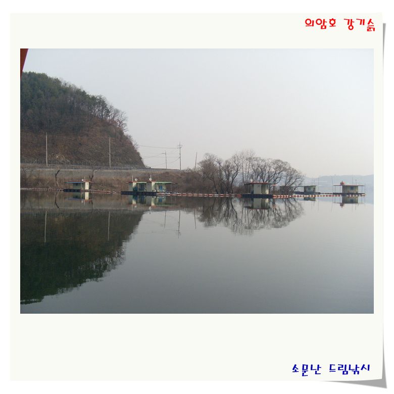 의암호 소문난 드림낚시 개장 했습니다.