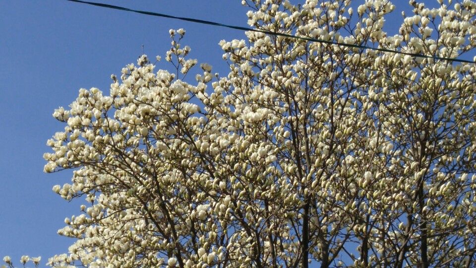 KakaoTalk_20160406_114700278.jpg