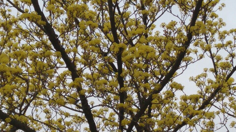 KakaoTalk_20160406_114803542.jpg