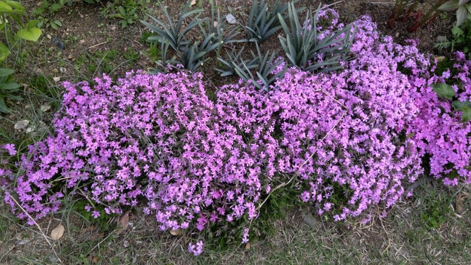KakaoTalk_20160424_134824905.jpg