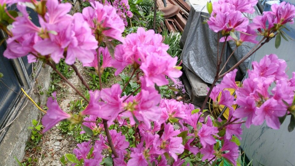 KakaoTalk_20160424_134830914.jpg