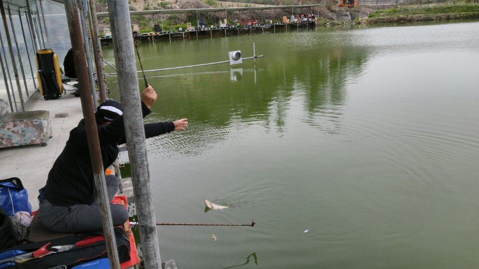 KakaoTalk_20160424_134830003.jpg