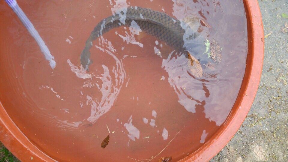 KakaoTalk_20160508_073029944.jpg